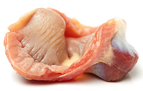 La molleja del pollo tiene un papel crítico en la digestión de los alimentos